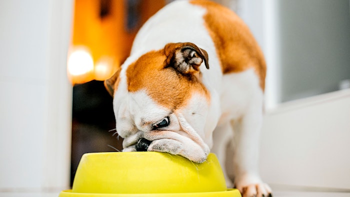 Nutrios is the culmination of Symrise's acquired brands including IsoNova, ADF, Schaffelaarbos as well as Vivae.