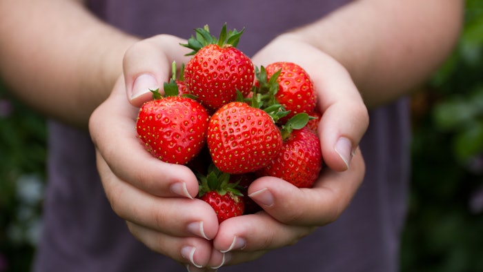 Long-term relationships with farmers, supported by regular visits and audits from in-house agronomists, guarantee the high quality of the selected fruit.