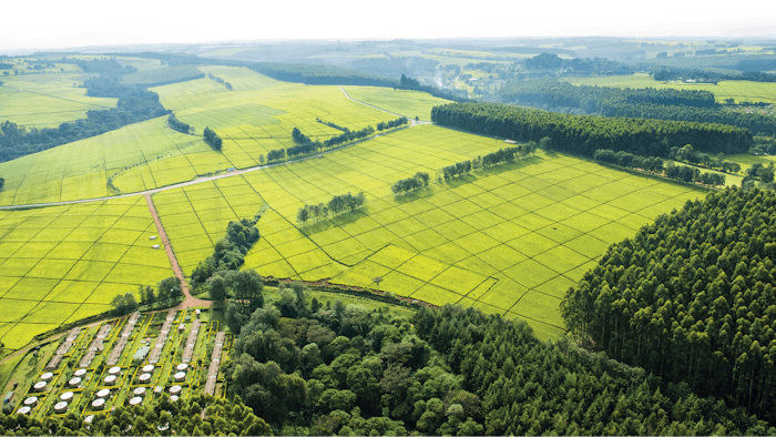 Firmenich has entered into an agreement with Finlays giving Firmenich full sales rights to Finlays’ European tea and coffee extracts portfolio.