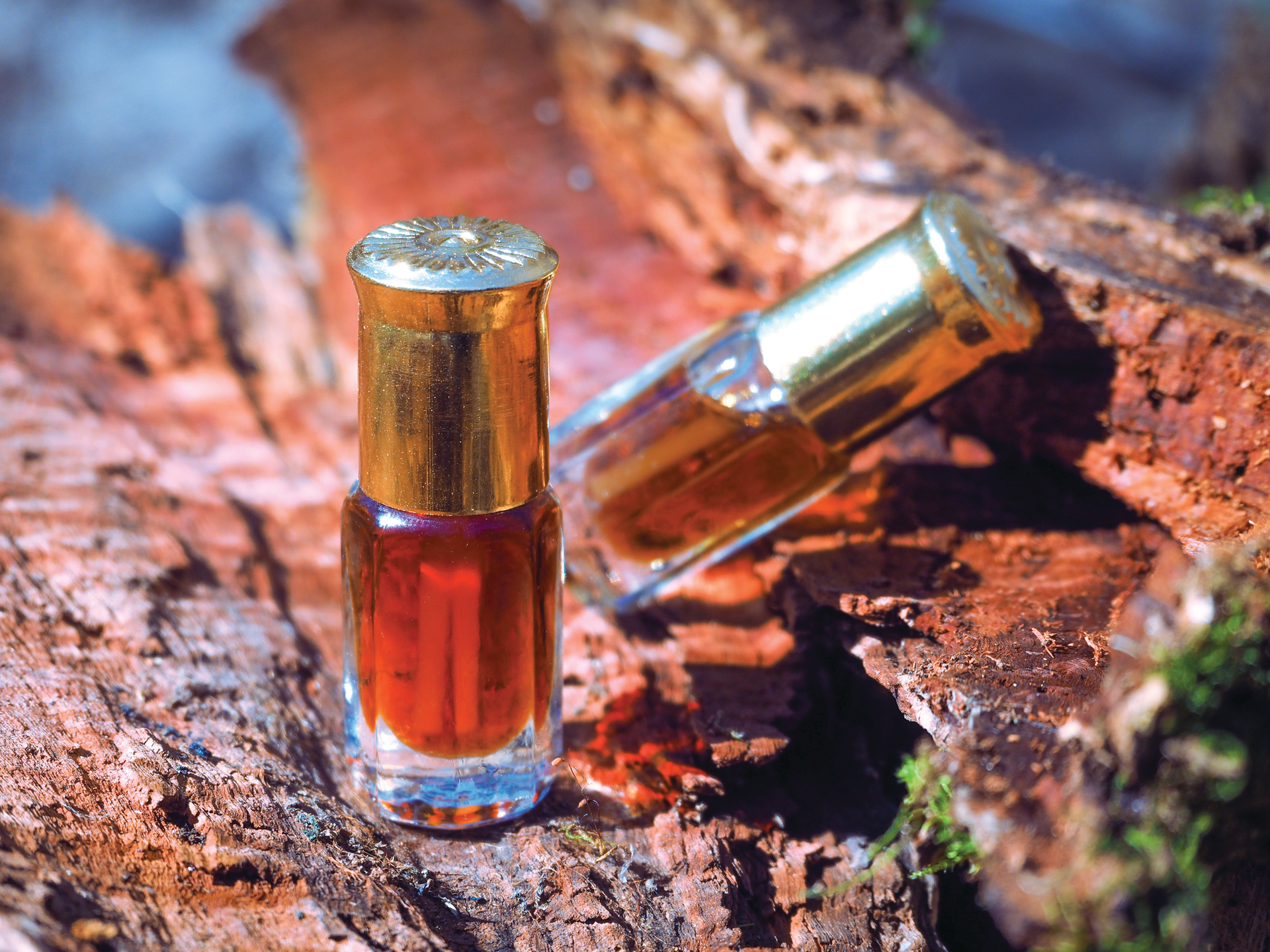 indian sandalwood perfume