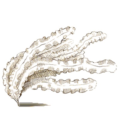 Clariant Ct2205 Image1