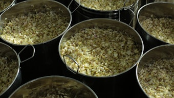 Mane E Pure Jungle Essence