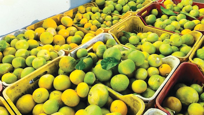 Bergamot