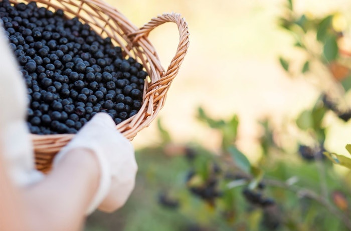 The company has filed a patent application for the aronia extract, said to host a unique polyphenols profile in addition to strong multiple cellular antioxidant effects.