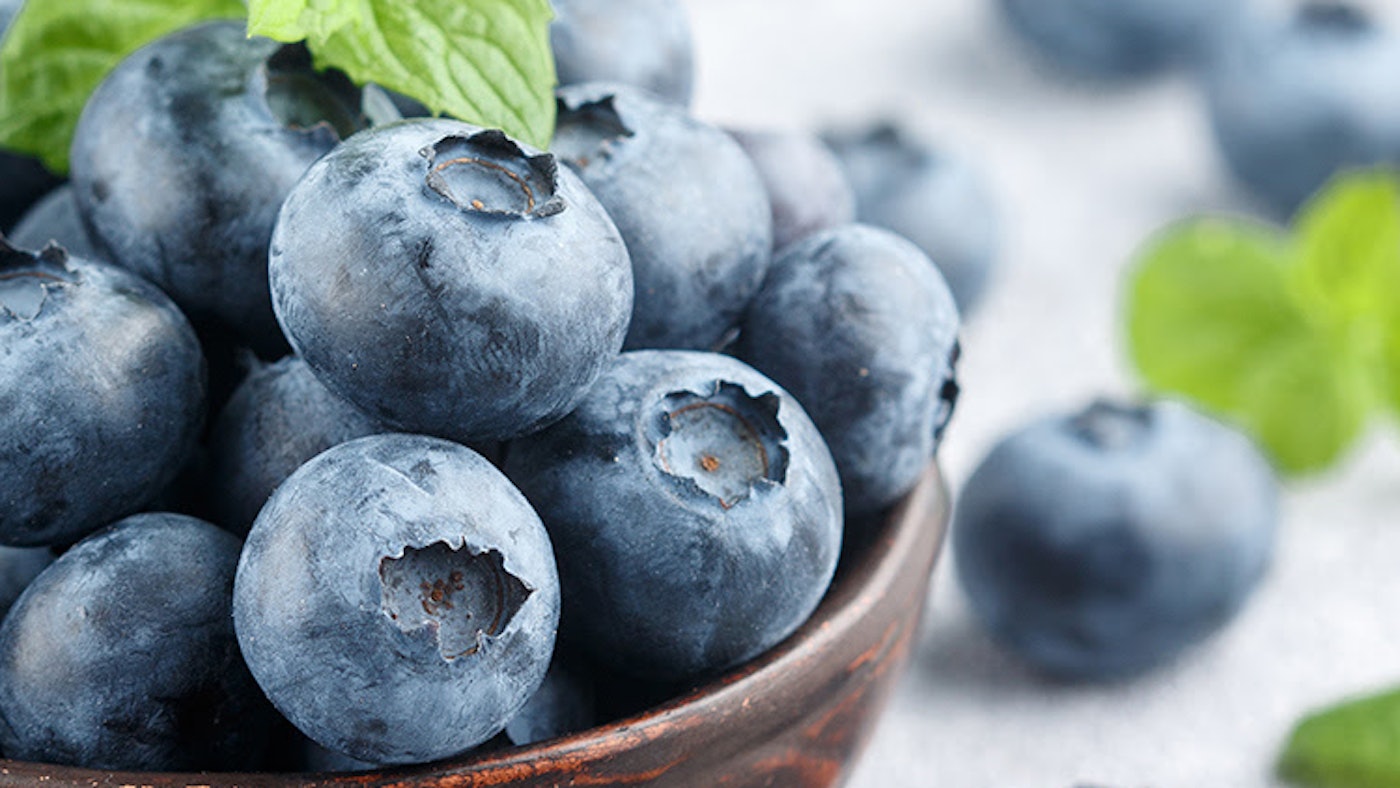 Symrise Launches Natural Blueberry Ingredients Range for Food, Beverage ...