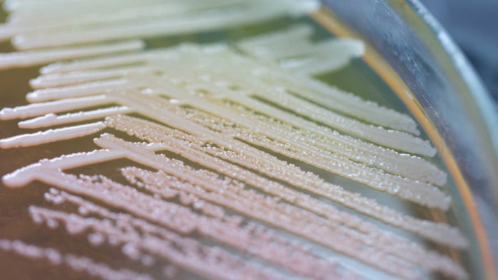 The vision is to augment or replace an ingredient that is currently gathered from animal sources by engineering a strain that will produce the targeted ingredient through fermentation.