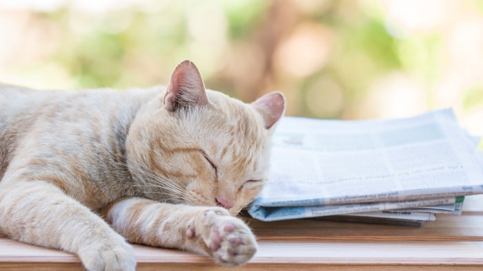 Read up on Q2 results, product launches, upcoming events and more.