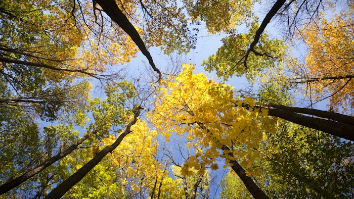 The Illinois Basin – Decatur Project is the world’s first successful completion of a pure storage carbon capture and storage (CCS) project.