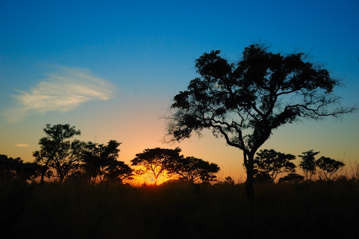 Online registration for IFEAT’s next Study Tour from November 4-12, 2022, to South Africa is now open.