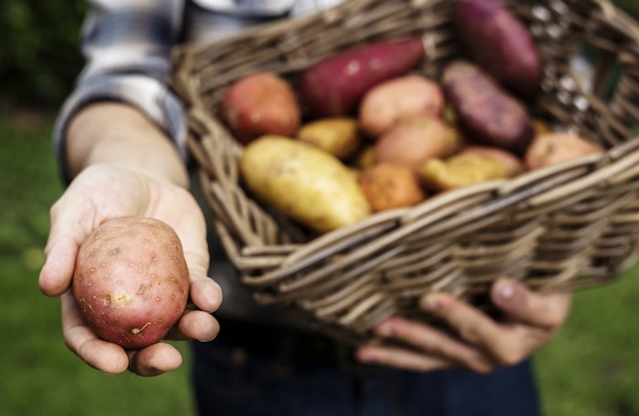 Leveraging ADM&rsquo;s scale and FBN&rsquo;s digital farm commerce and data analytics, the Gradable platform will enable farmers to identify areas where they can increase profitability of their operation.