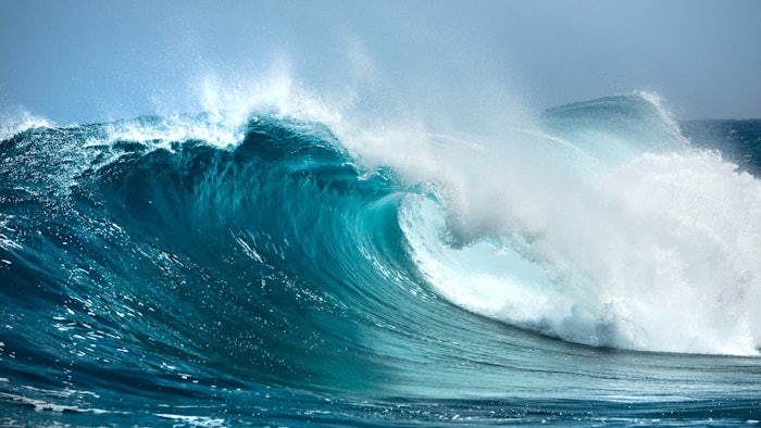 Inspired by morning surf sessions, WAVES features warm notes of cedar leaf, sea salt, balsa wood and musk.