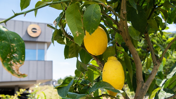 The research collaboration with Givaudan is one that is expected to leverage synthetic biology capability and go beyond the production of ethanol.