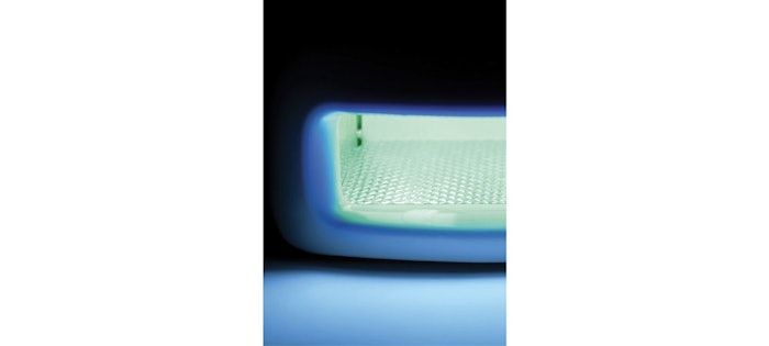 Protalkuvlamp