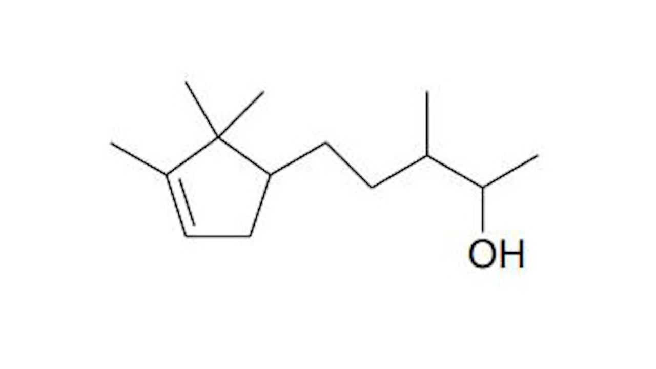 Hangzhou Grascent Co Ltd S Sandasweet Perfumer Flavorist Hangzhou Grascent Co Ltd S Sandasweet Perfumer Flavorist