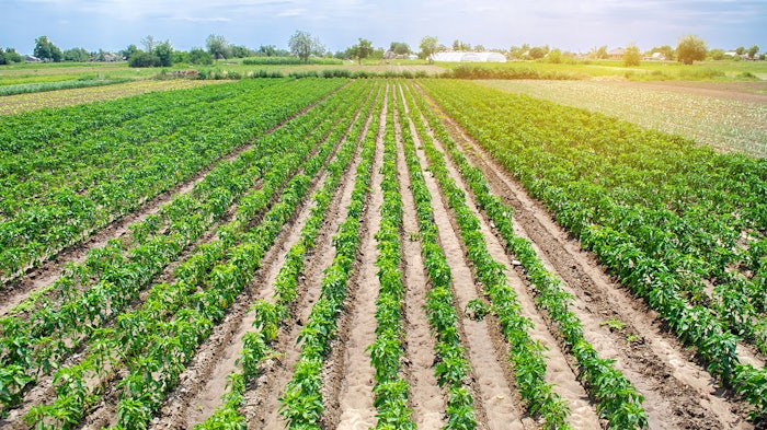 The acquisition provides Prima ownership of Prospect Farms, one of the largest USDA-certified Organic hemp farms and manufacturing complexes.