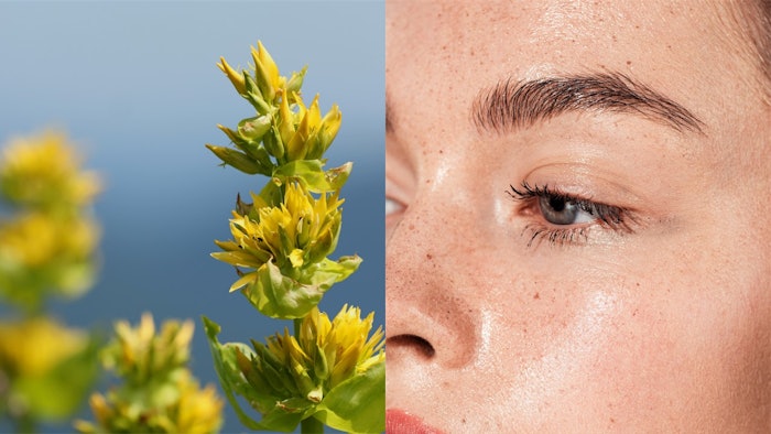 Holobiosys is derived via an 'upcycled' fermentation process that applies a cold-tolerant bacteria from the French aerobiota to wild yellow gentian root extract.