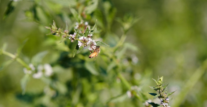 According to the company, Symrise continues to expect to grow faster than the relevant market and to increase sales by 5% to 7% annually (CAGR) until 2025.