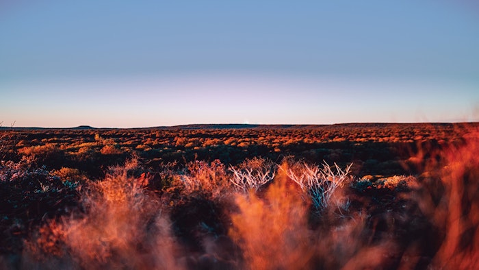 The range of oils is created using naturally fallen sandalwood trees, sundried in Australia’s desert lands.