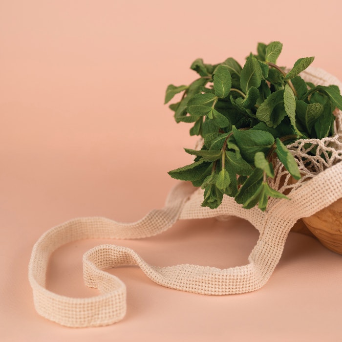 We’ve tapped professionals to touch on the intricacies of formulating with mint in various applications and what the future looks like for both markets.