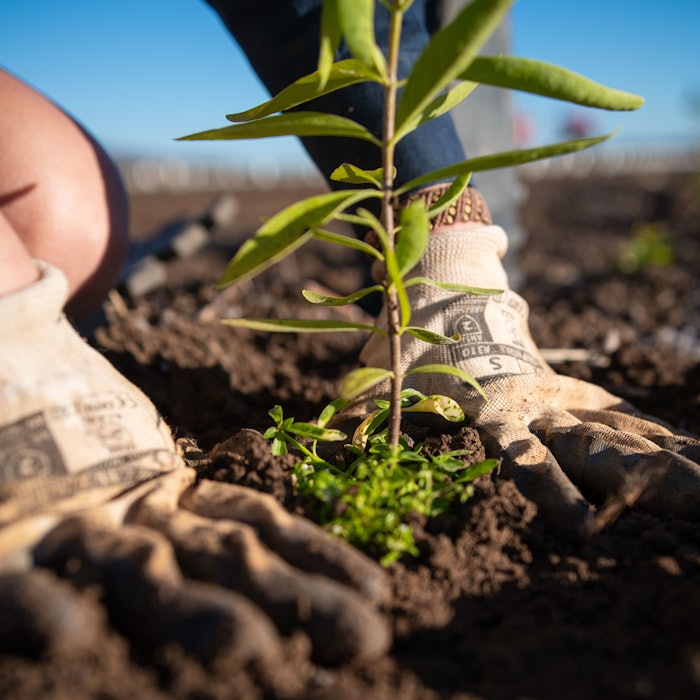UEBT membership demonstrates Santanol's commitment to assessing its sourcing policies and practices in Australia in accordance with ethical principles and to promote positive impacts for biodiversity and local communities.