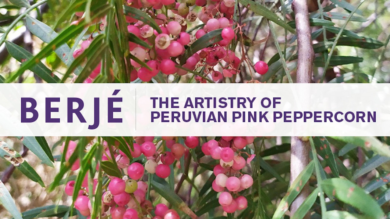 Pink Pepper Essential Oil (Wild Harvest)