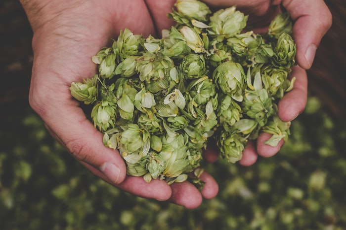 Univar Solutions Inc. has announced an expanded distribution relationship with Kalsec Inc. for advanced hop ingredients in the United States.