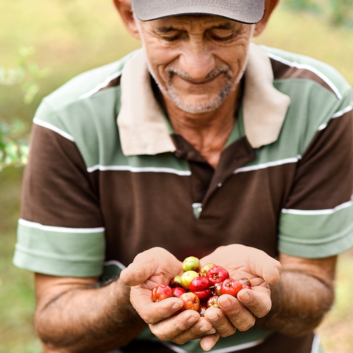 Symrise reported an organic sales growth of 8.0 % in the first six months.