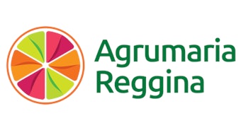 Logo Sized