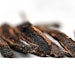 Most of the vanillin in the market comes from chemical synthesis, with approximately 85% produced from Guaiacol (petrochemical products), while the rest are from lignin and eugenol.