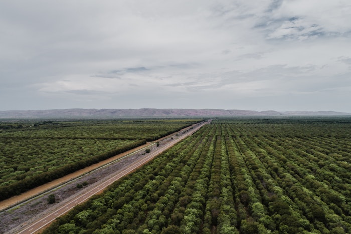 Copperhead has invested in two carbon offset projects including the Moolakar Human-Induced Regeneration Project and the Merepah Fire Project.