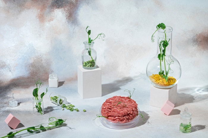While 2020 saw a rise in plant-based products’ innovation and launches, the taste, texture and price shortfalls when compared with conventional products meant that plant-based businesses fell short of outperforming conventional producers.