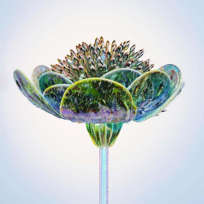 According to the platform, AI perfumes are part of the Sensory AI meta-trend, boasting a search volume for “sensory AI” that has grown by 2400% over the past 24 months.