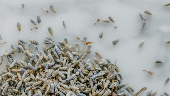 The ingredient is described as 'a softer and purer version of patchouli that constitutes a new ingredient with a lot of presence and an elegant, distinctive and sustainable signature.'