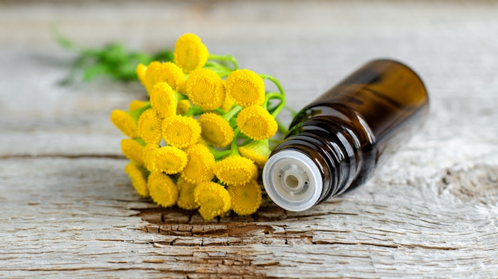 Blue tansy essential oil