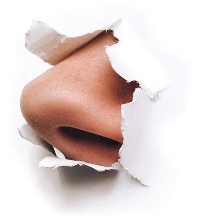 Adobe Stock 298152591