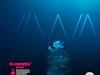 Viwa20 In Cosmetics201000 X1000 V2