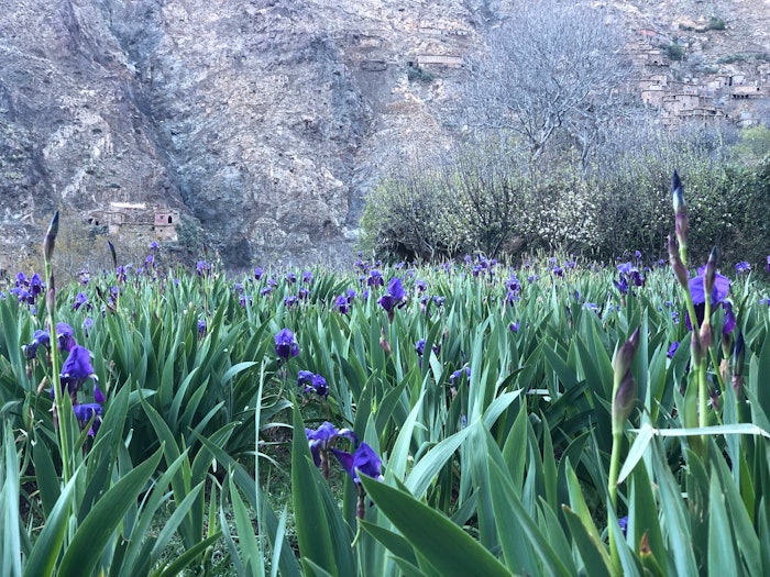 Sherry Madera, CEO of CDP, said, “Congratulations to all the companies on CDP’s A List, and those companies that started or accelerated their journey towards environmental transparency in 2023–we saw a 24% increase of disclosures last year and that trajectory is to be applauded.'