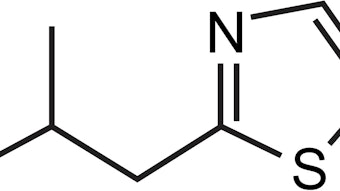 Screenshot 2024 02 22 At 1 38 09 Pm