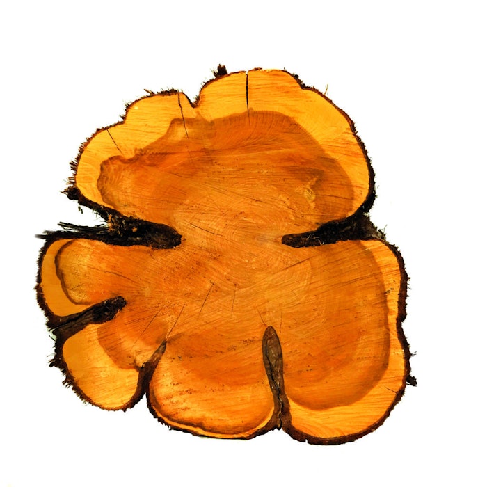 Cedarwoodcrossisolatedcopy (1)