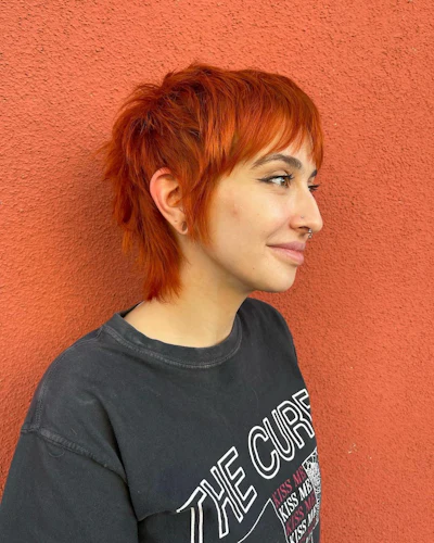 Cuts by rasa