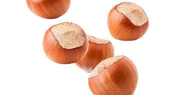 iso-Valeric acid makes a subtle, but very useful, contribution to hazelnut flavors at 100 ppm.