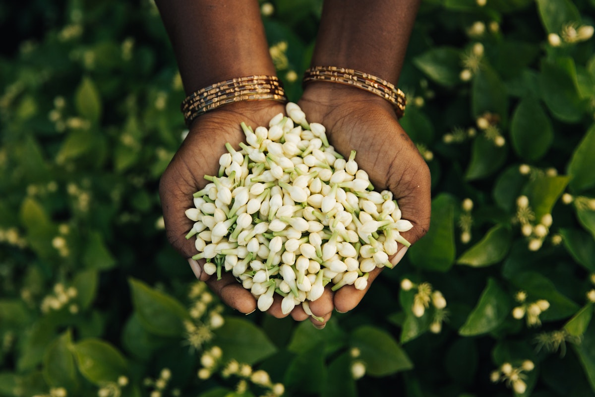Givaudan Earns High Score for Supplier Engagement on CDP Rating Leaderboard Givaudan Earns High Score for Supplier Engagement on CDP Rating Leaderboard
