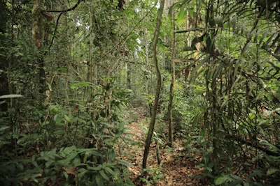 The latest expedition took place February 26-March 1, 2024 and involved the study and bioprospecting of microorganisms from the soil and 24 regionally abundant plant species known for their production of bioactive substances.