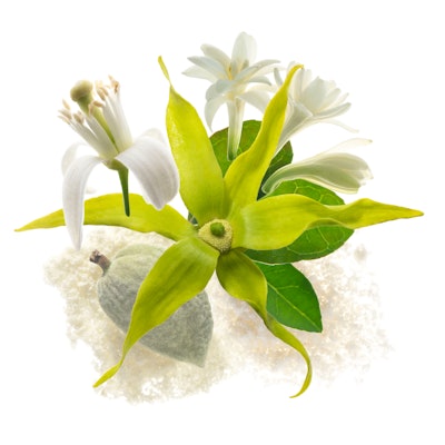 In formulations, Ylanganate boosts delicate floral scents with its 'gentle complexity and calm sensuality,' per IFF, which can enhance fruity, sweet and vanillic-balsamic notes.