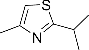 Xiamen Bestally Biotechnology June