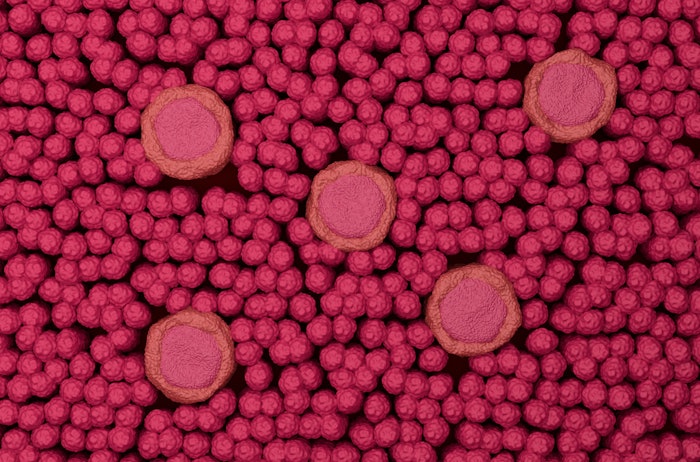 The study authors measured receptor activities, investigated the perceptual sweetness-enhancing effect of binary sweetener mixtures and identified bitter receptor reducers.