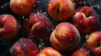 The nutty aspect of 3-octen-2-one reinforces an attractive aspect of the peach skin character.