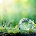 The IFRA Green Chemistry Compass Tool was designed to guide the fragrance industry in evaluating and enhancing the environmental and health profiles of their products.