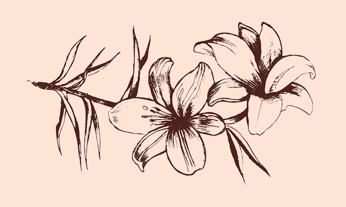 This Flavorcon discussion will examine predictions regarding how vanillin production might adjust to the challenges arising from disruptions as well as emerging solutions.