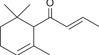 Hangzhou Grascent August
